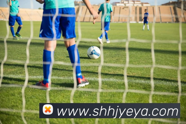 多媒体互动体验