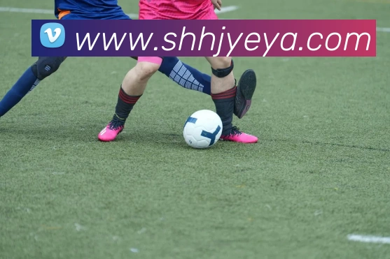 华体会APP 体育赛事宣传图